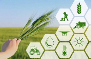 Ярмарка инновационных разработок «Агропромышленные и продовольственные технологии» Ярмарка инновационных разработок «Агропромышленные и продовольственные технологии»