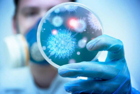 Памятка по профилактике вирусных заболеваний